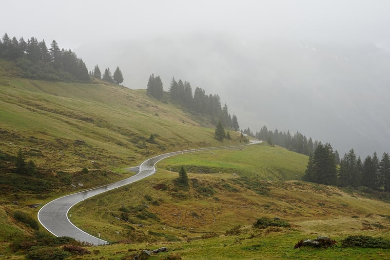 Road through nature
